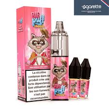Fraise Framboise Cerise Glacée Puff 15K BigPuff